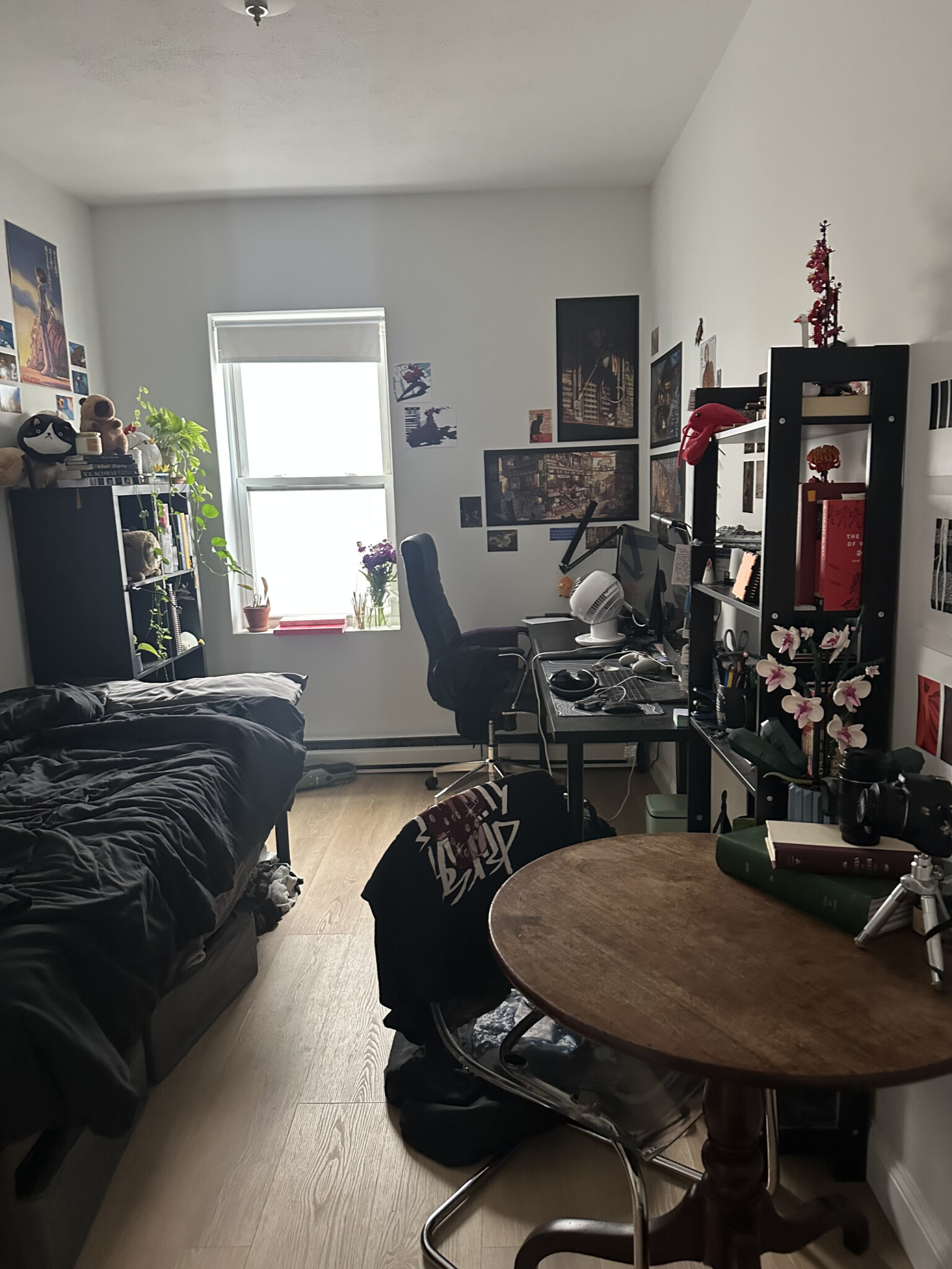 111 Norway St, Fenway