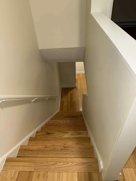 15 Fuller, North Brookline