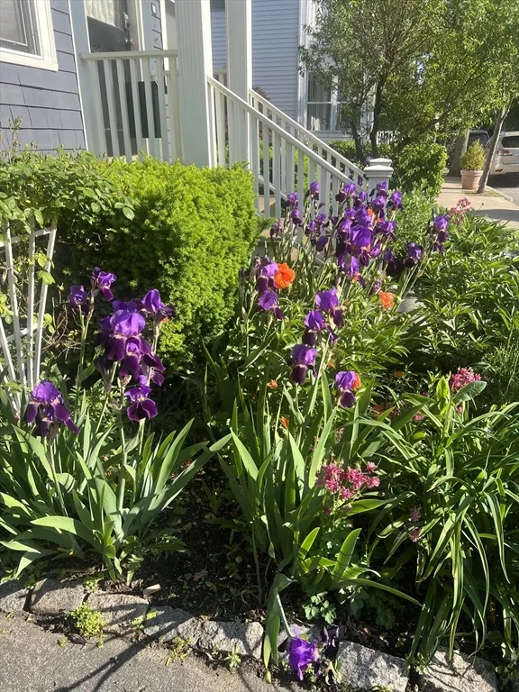 24 Montgomery St, North Cambridge