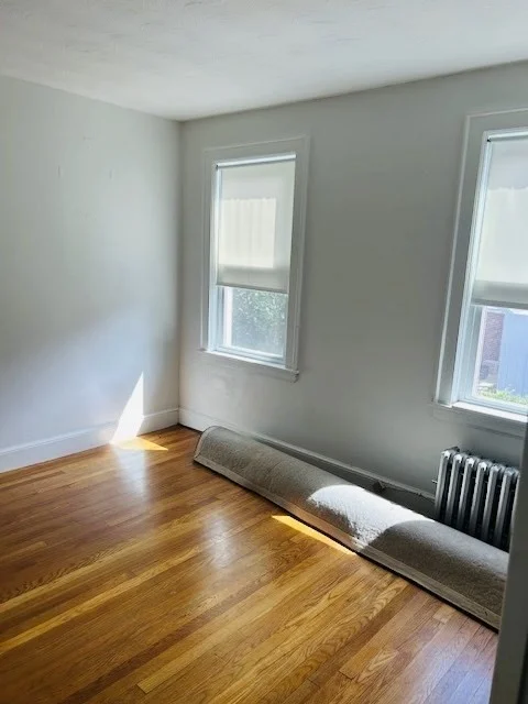 151 Chestnut Hill Ave, Brighton