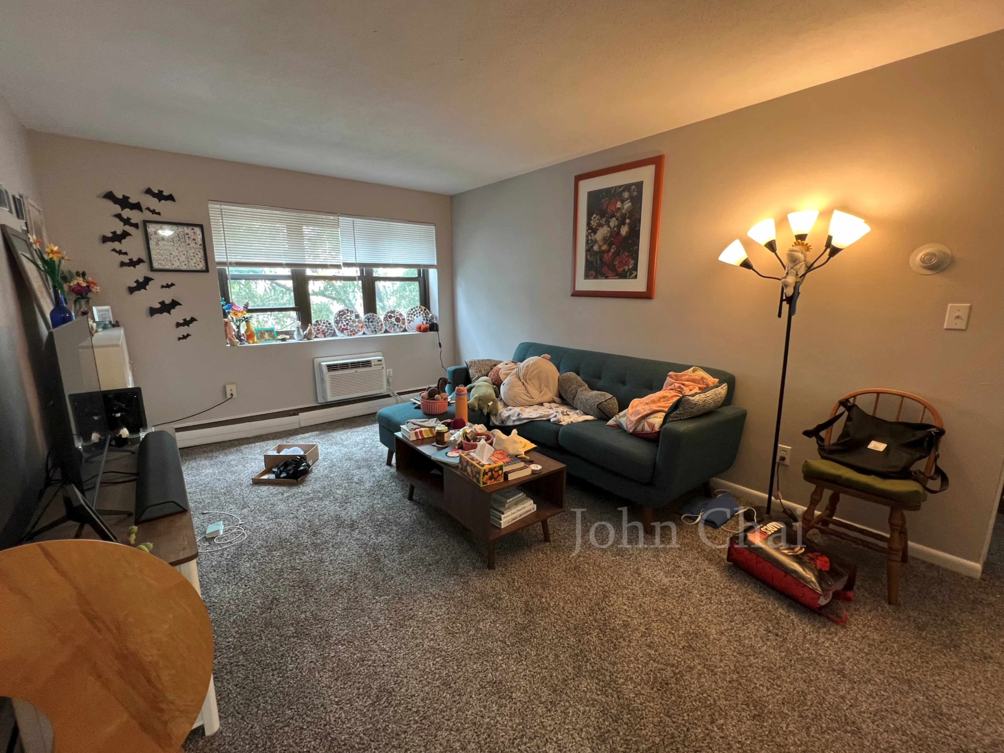 39 Shepard St, Brighton