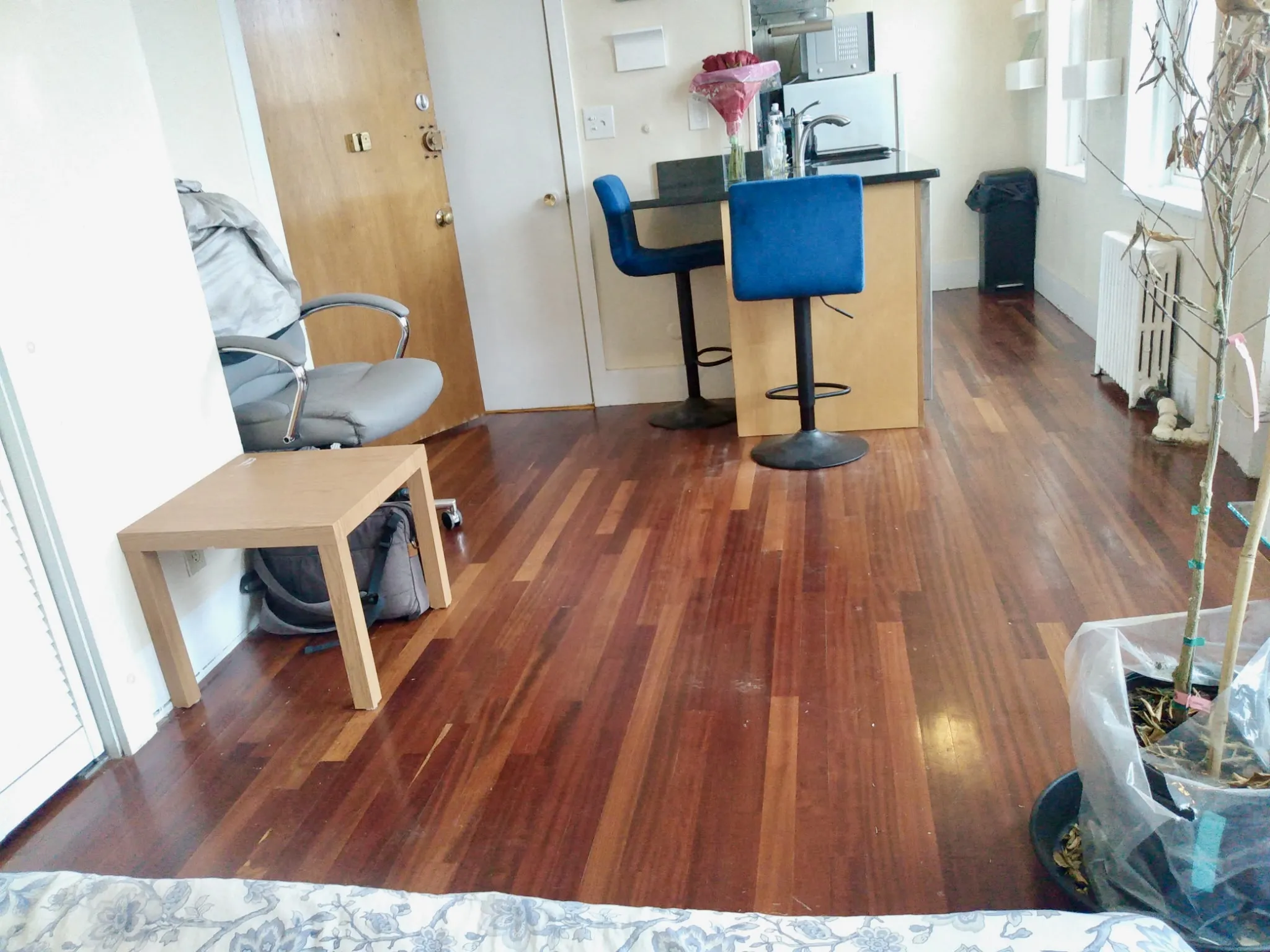 108 Myrtle St, Beacon Hill