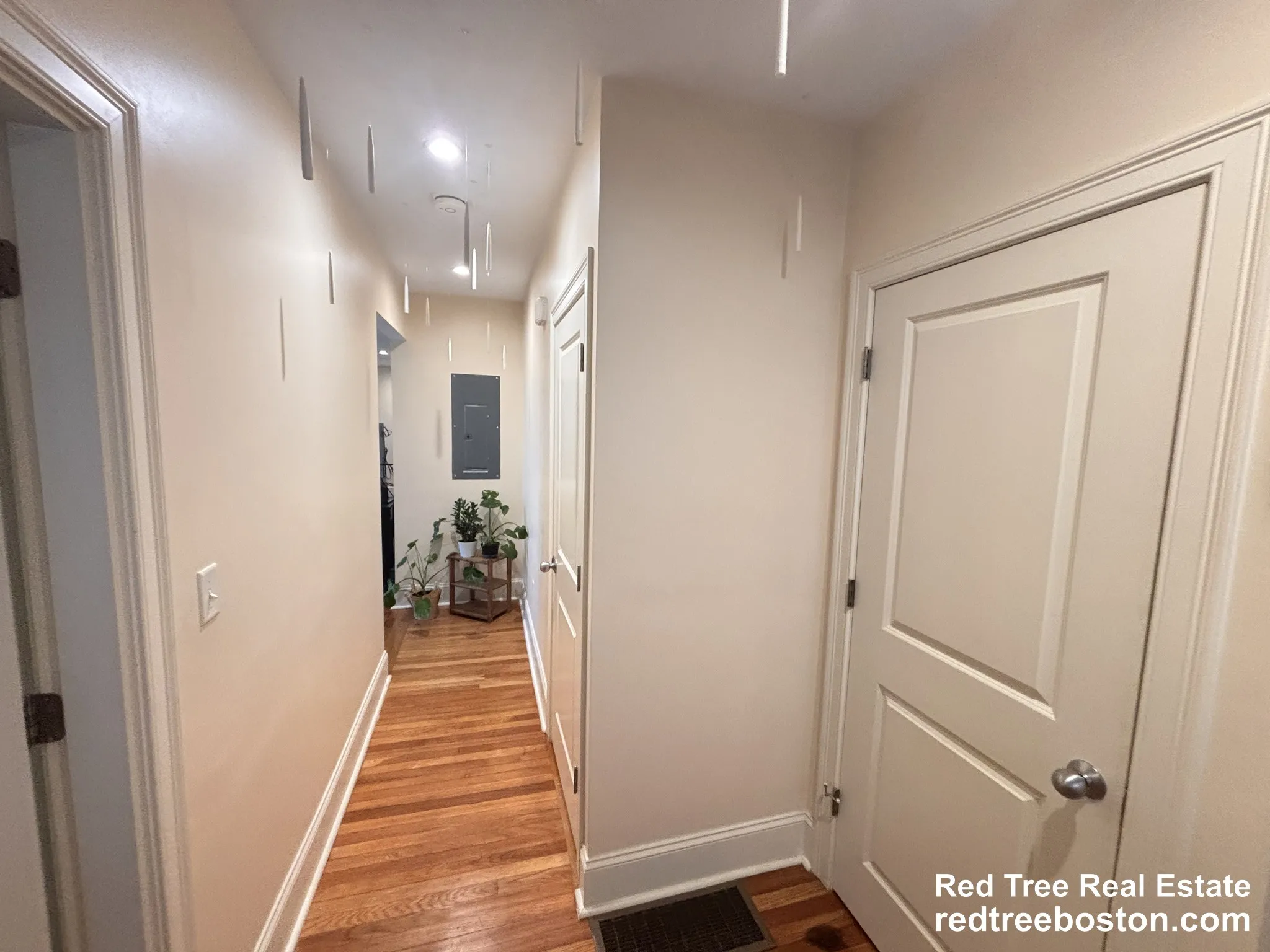 45 Matchett St, Brighton