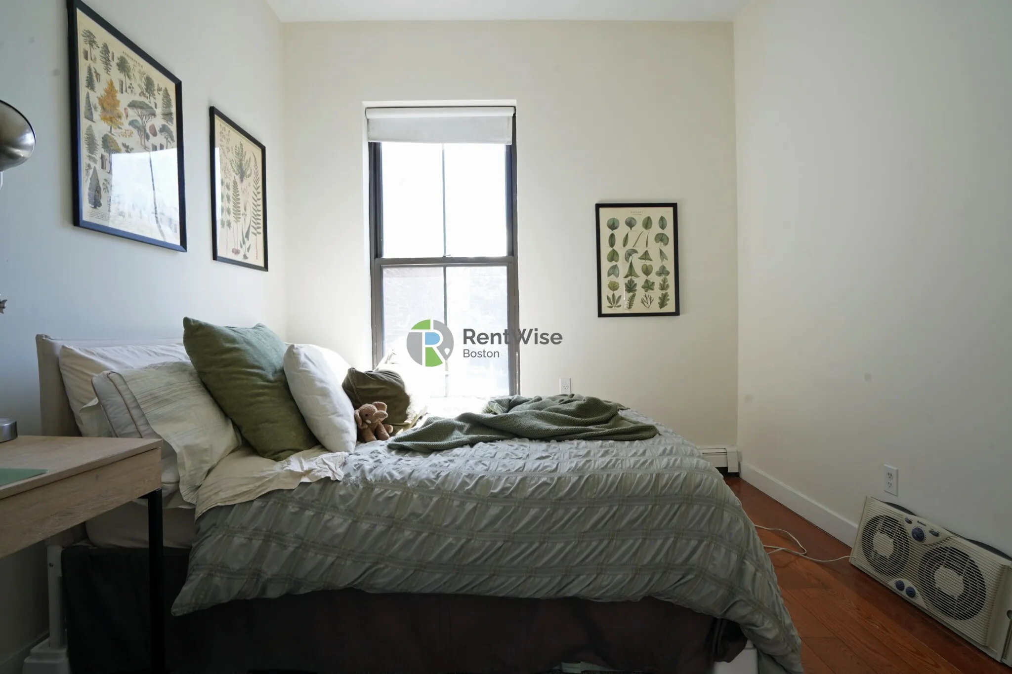 525 Massachusetts Ave, Roxbury