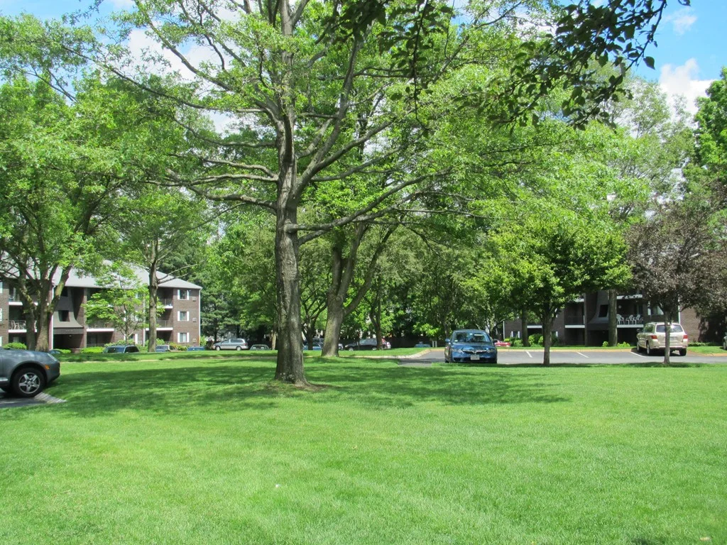 2340 Commonwealth Ave, Newton