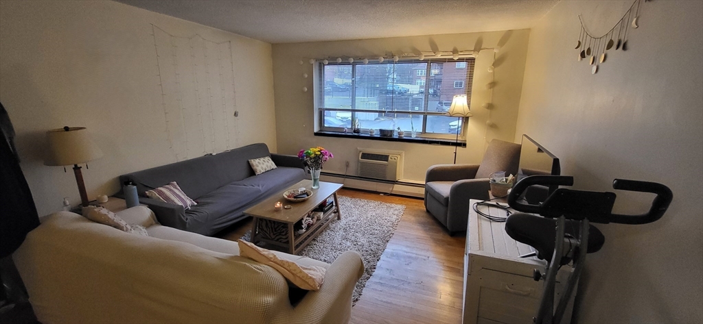 239 Kelton St, Brighton