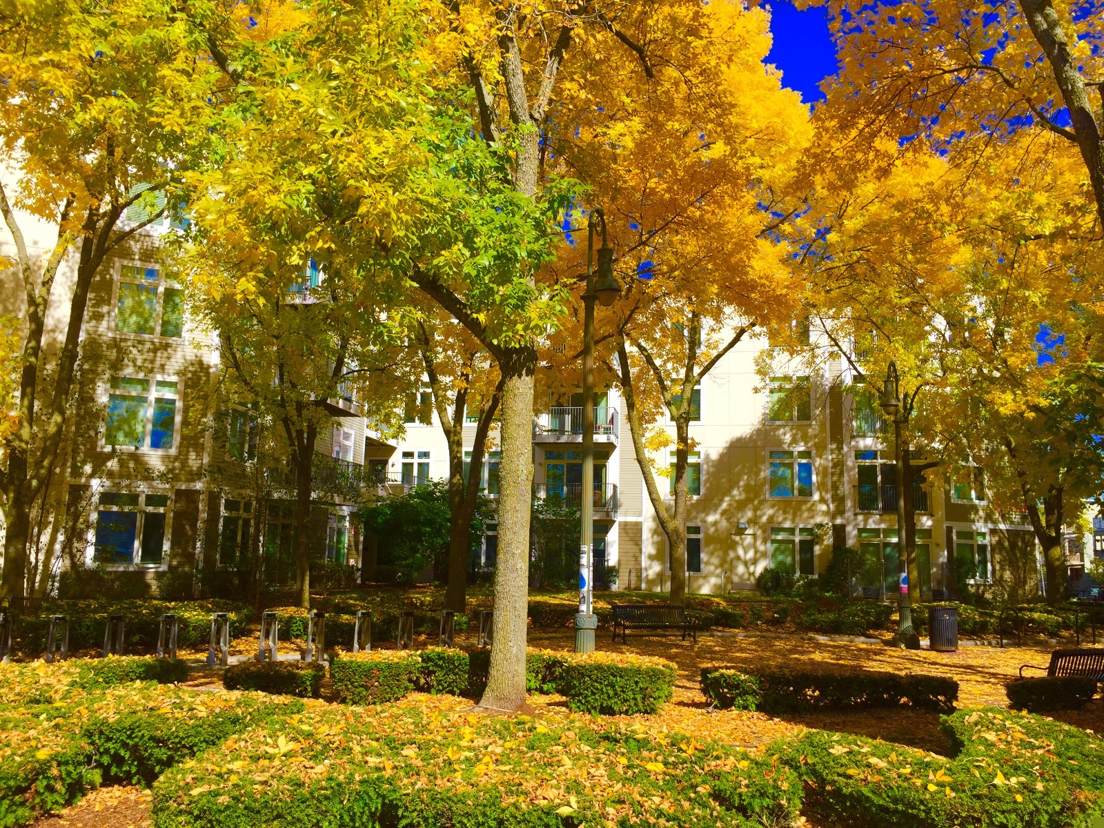 7 Cameron Ave, North Cambridge