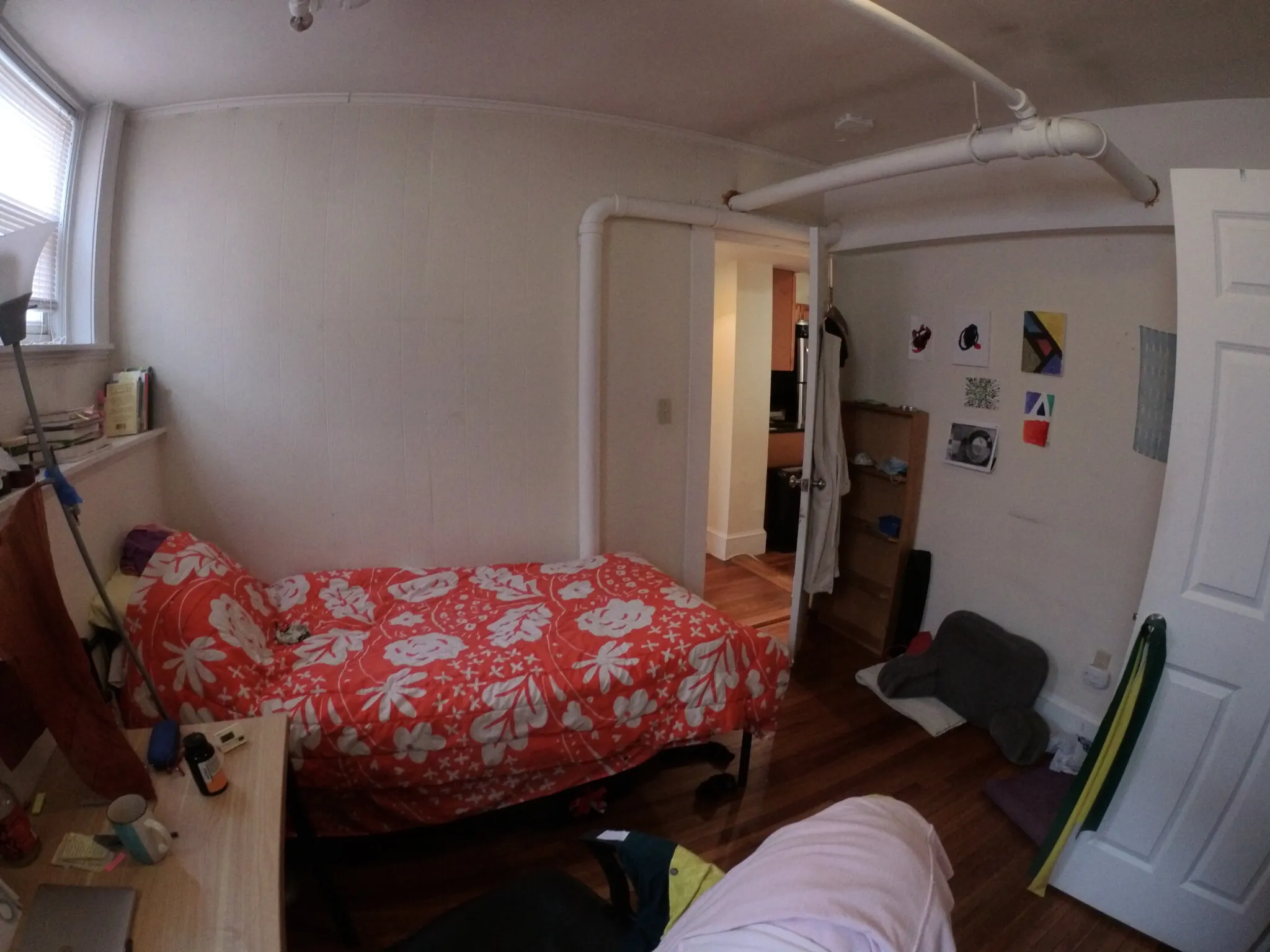 241 Freeman St, North Brookline