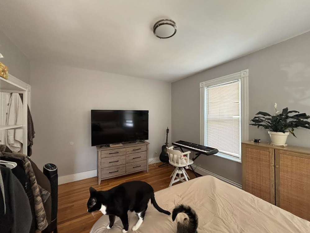 11 Houghton St, Ward Two