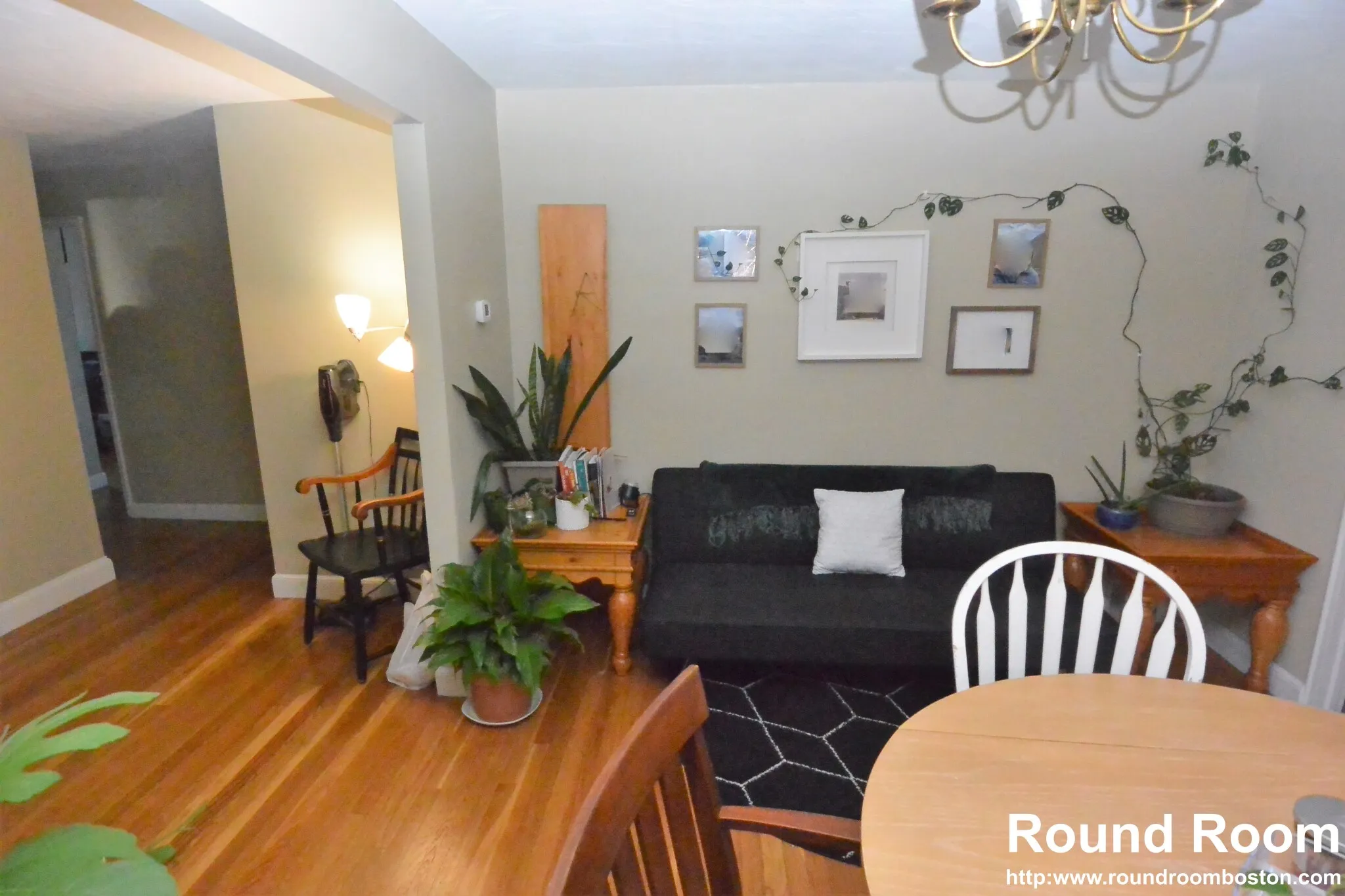 271 Corey Rd, Brighton