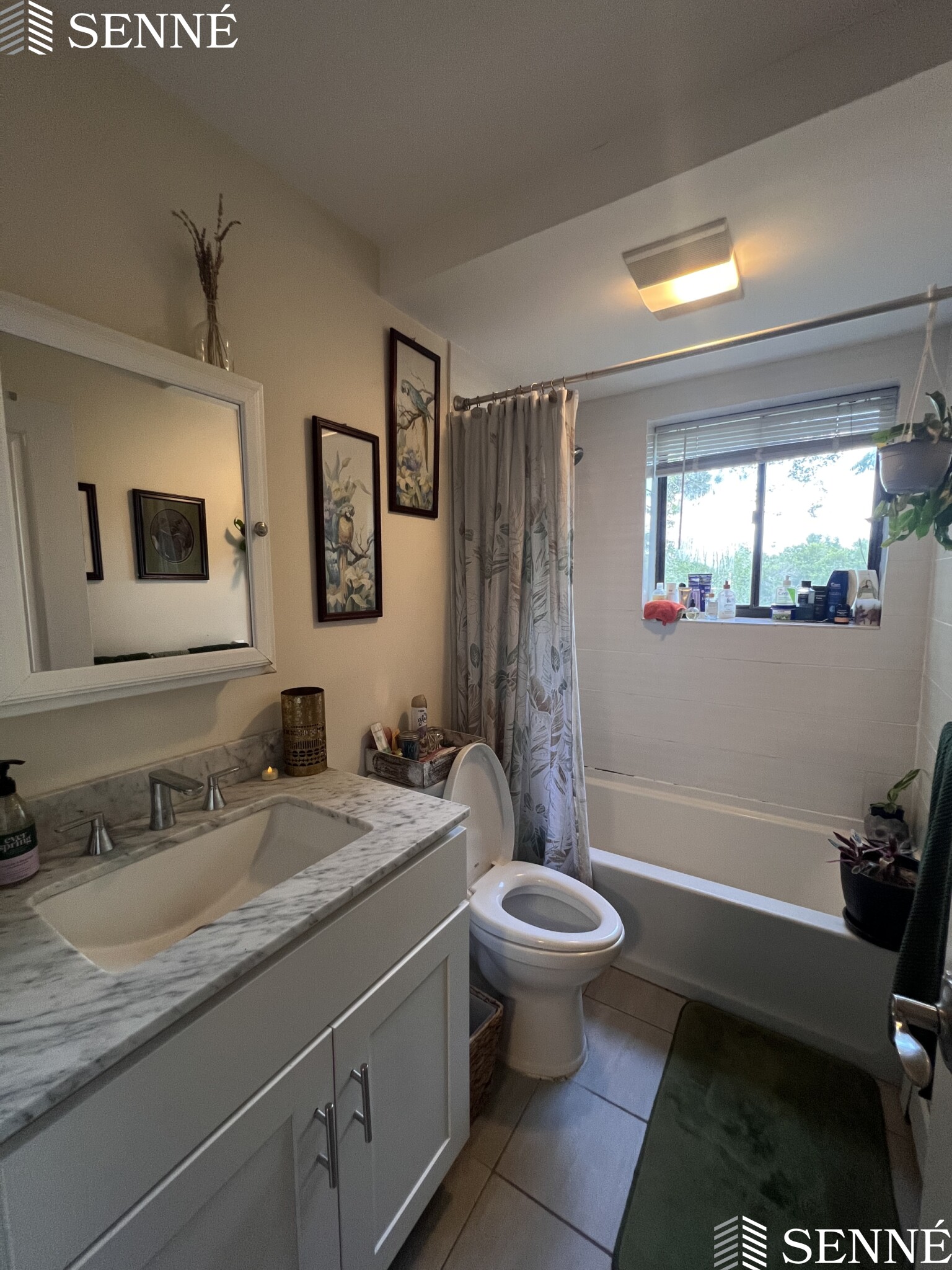 6 Blair Pl, Neighborhood Nine