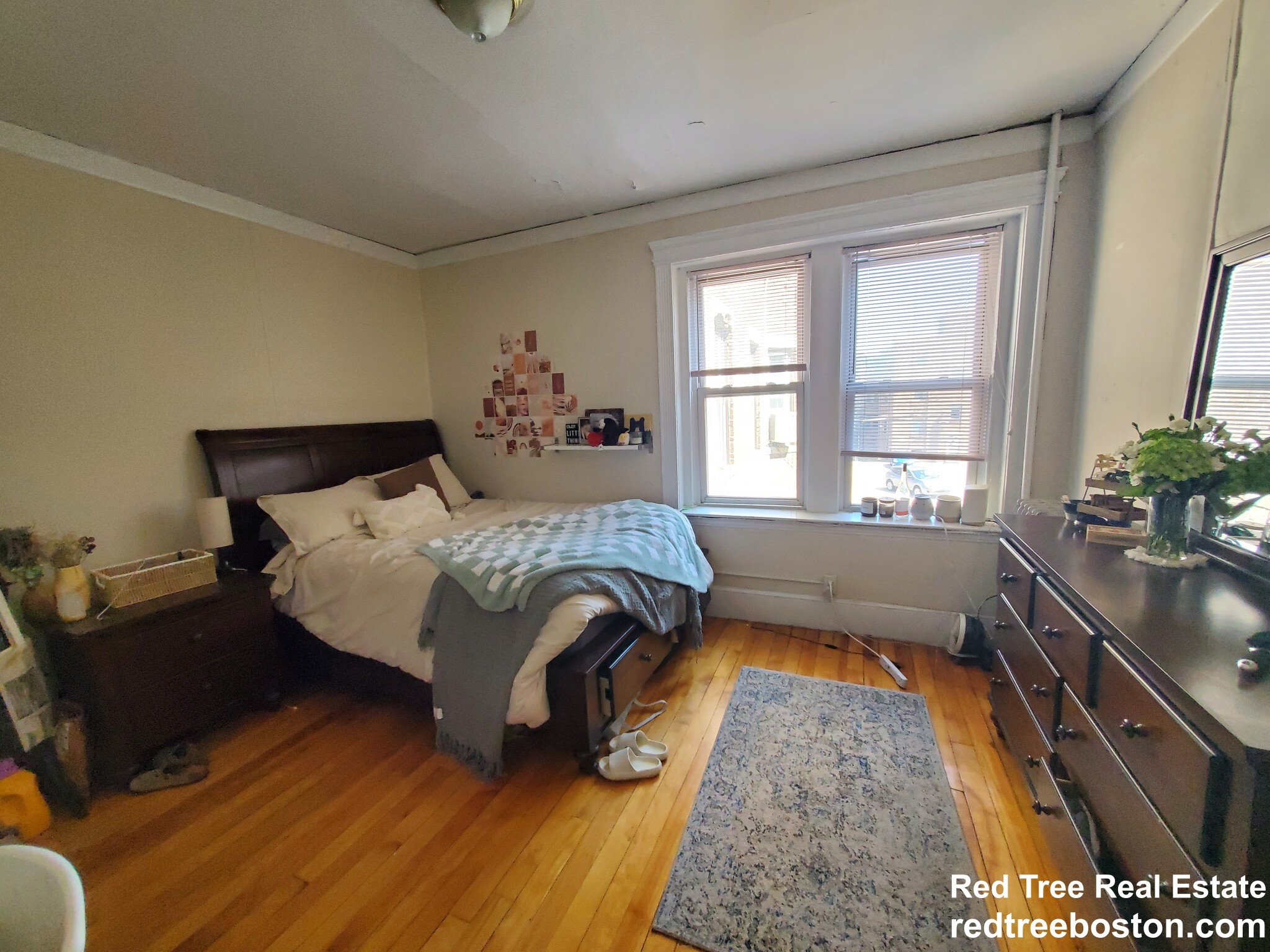 12 Royce Rd, Allston