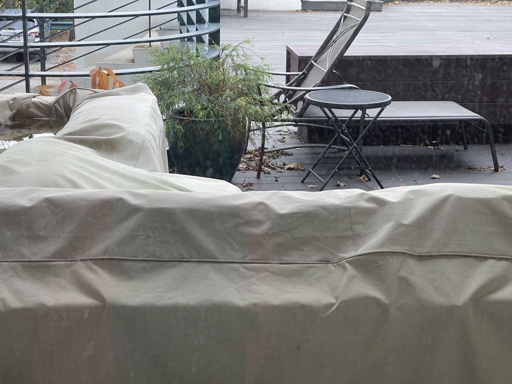 227 Summit Ave, Coolidge Corner