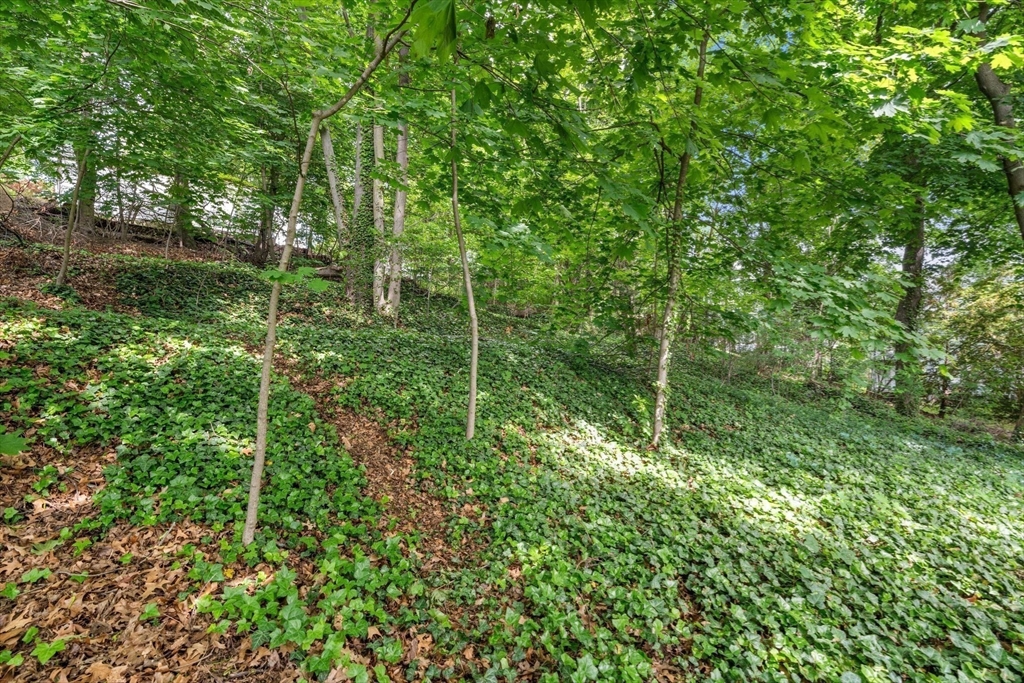 87 Brooks St, Brighton