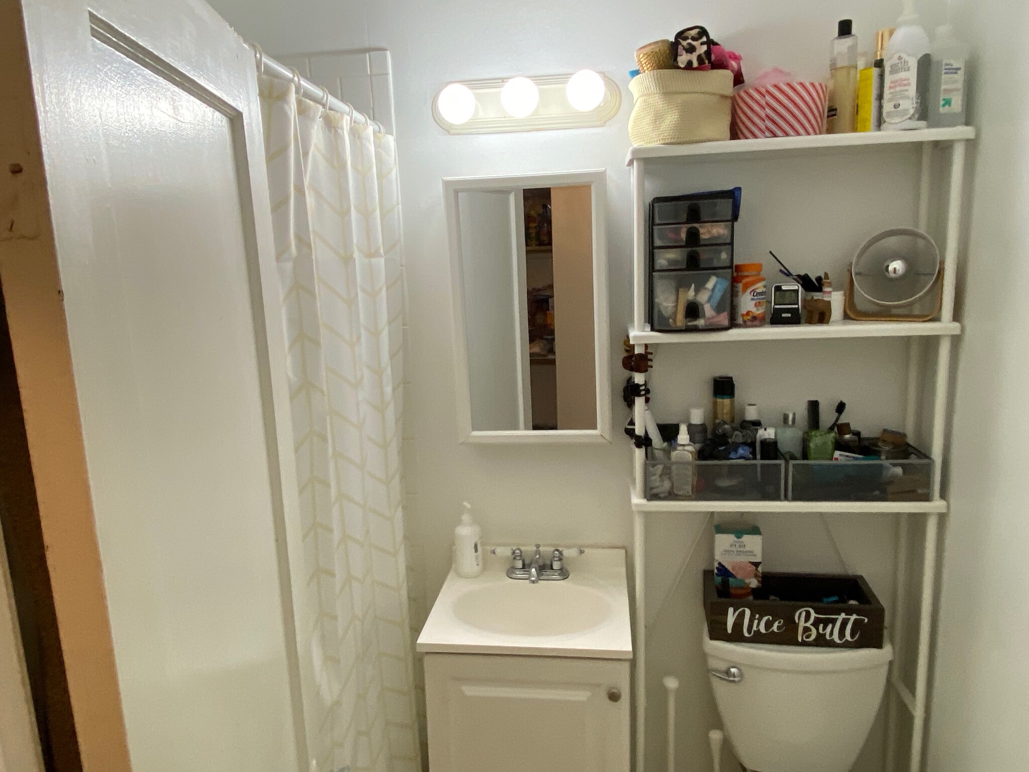 28 Littell Rd, Coolidge Corner