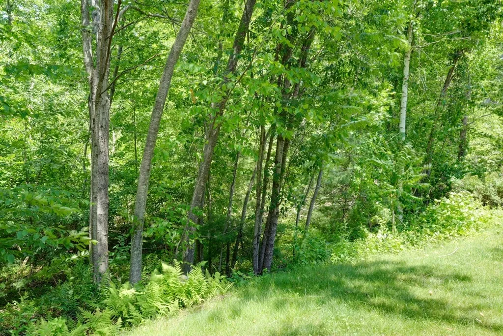 89 Buttercup Ln, Grafton