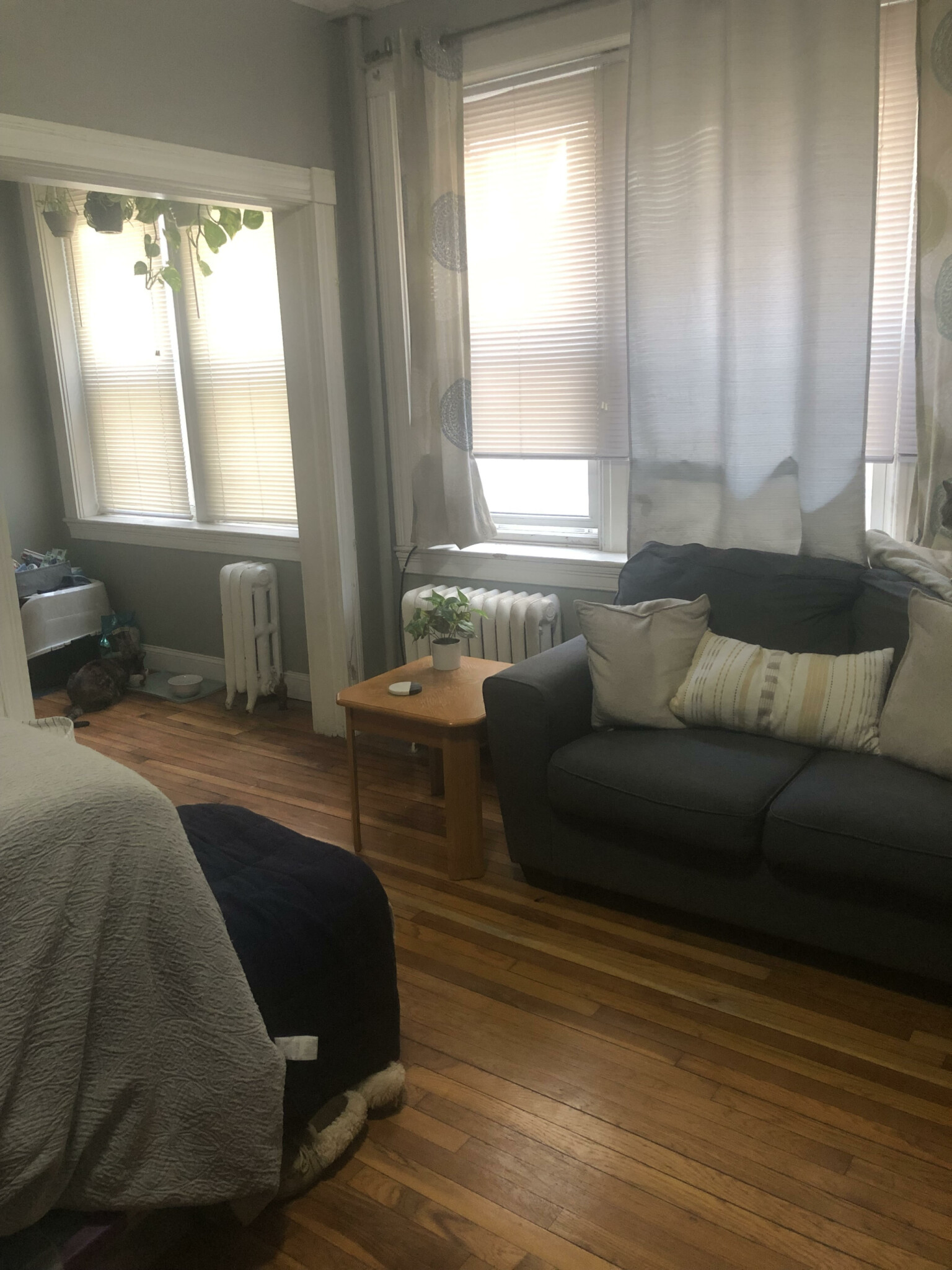 1637 Commonwealth Ave, Brighton