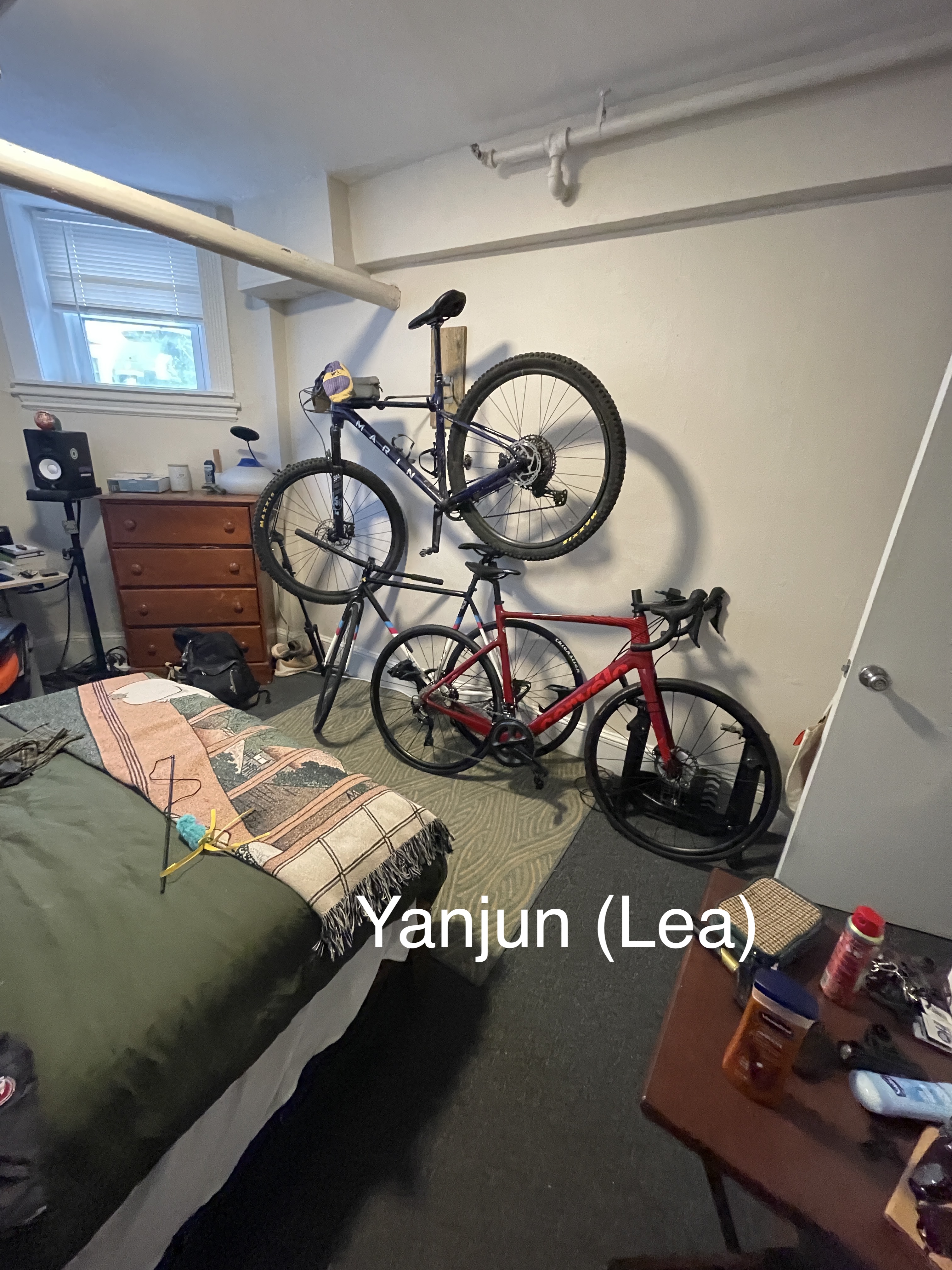 48 Brighton Ave, Brighton