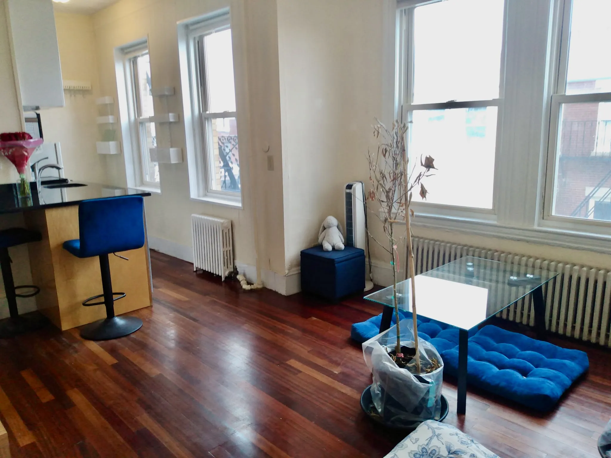 108 Myrtle St, Beacon Hill