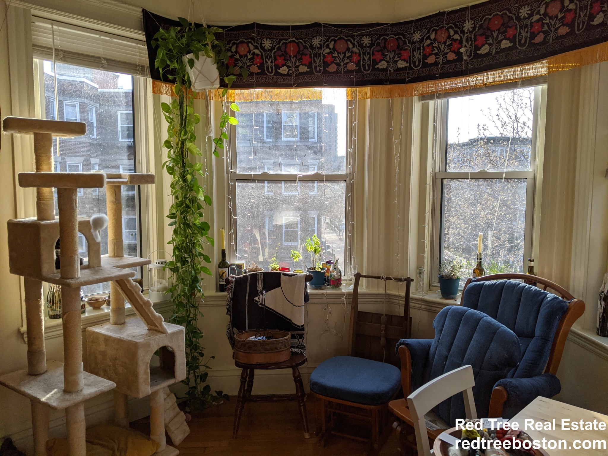 98 Queensberry St, Fenway