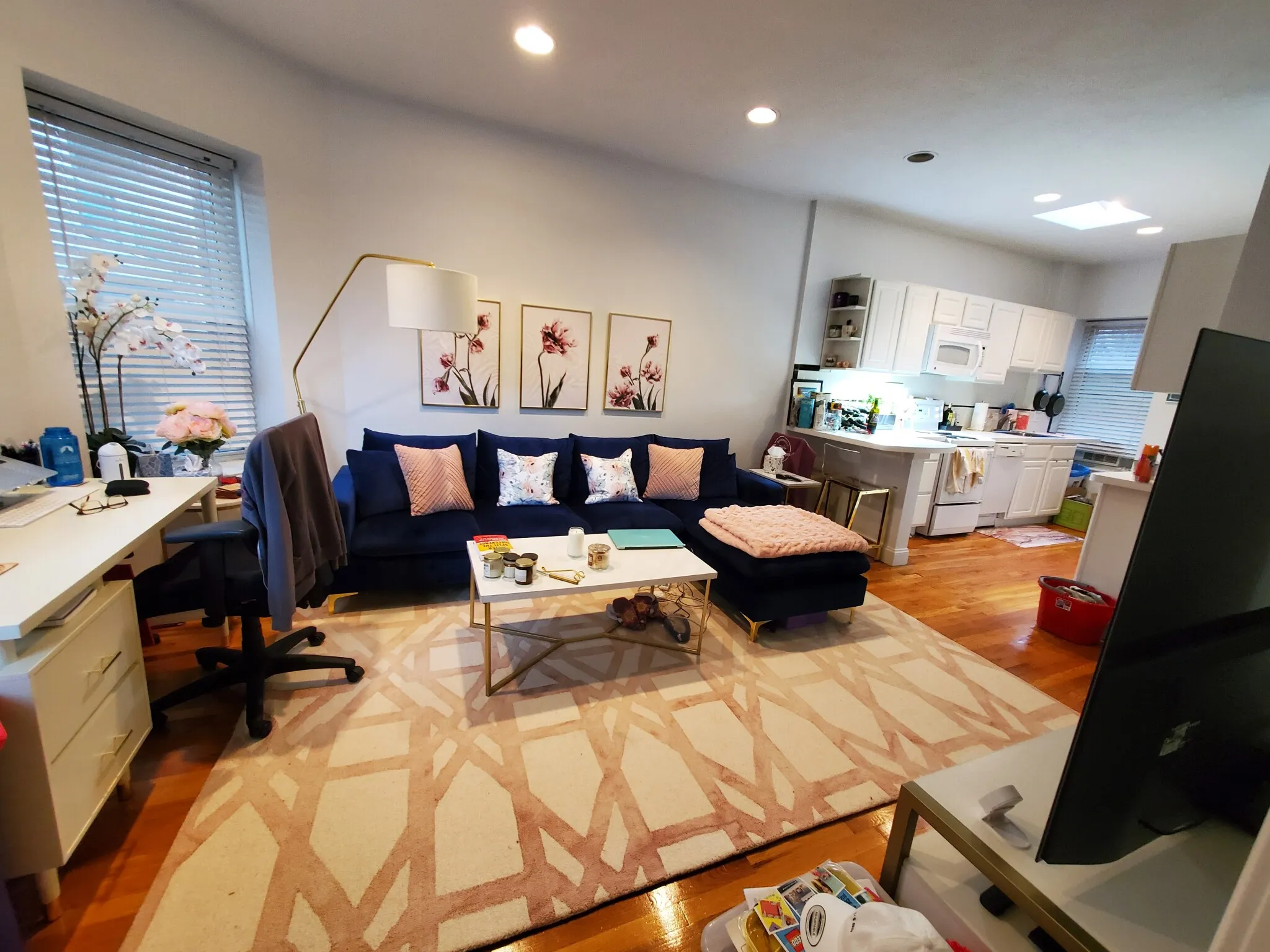 57 Westland Ave, Fenway