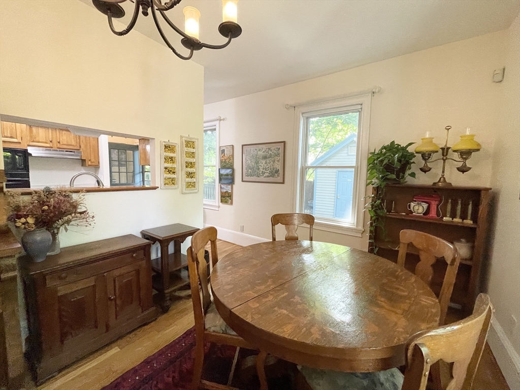 217 Freeman, Coolidge Corner