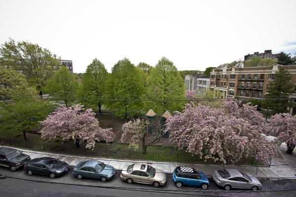 125 Chiswick Rd, Brighton