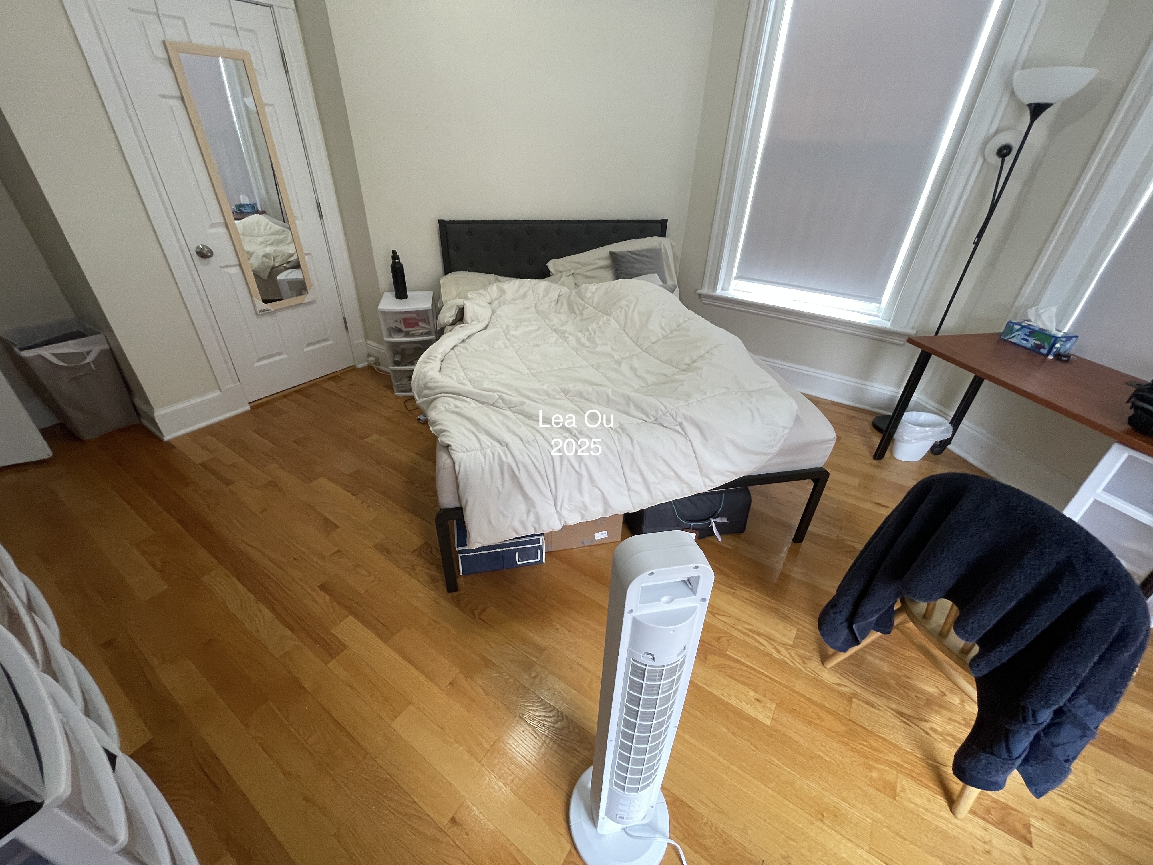 7 Mount Hood Rd, Brighton