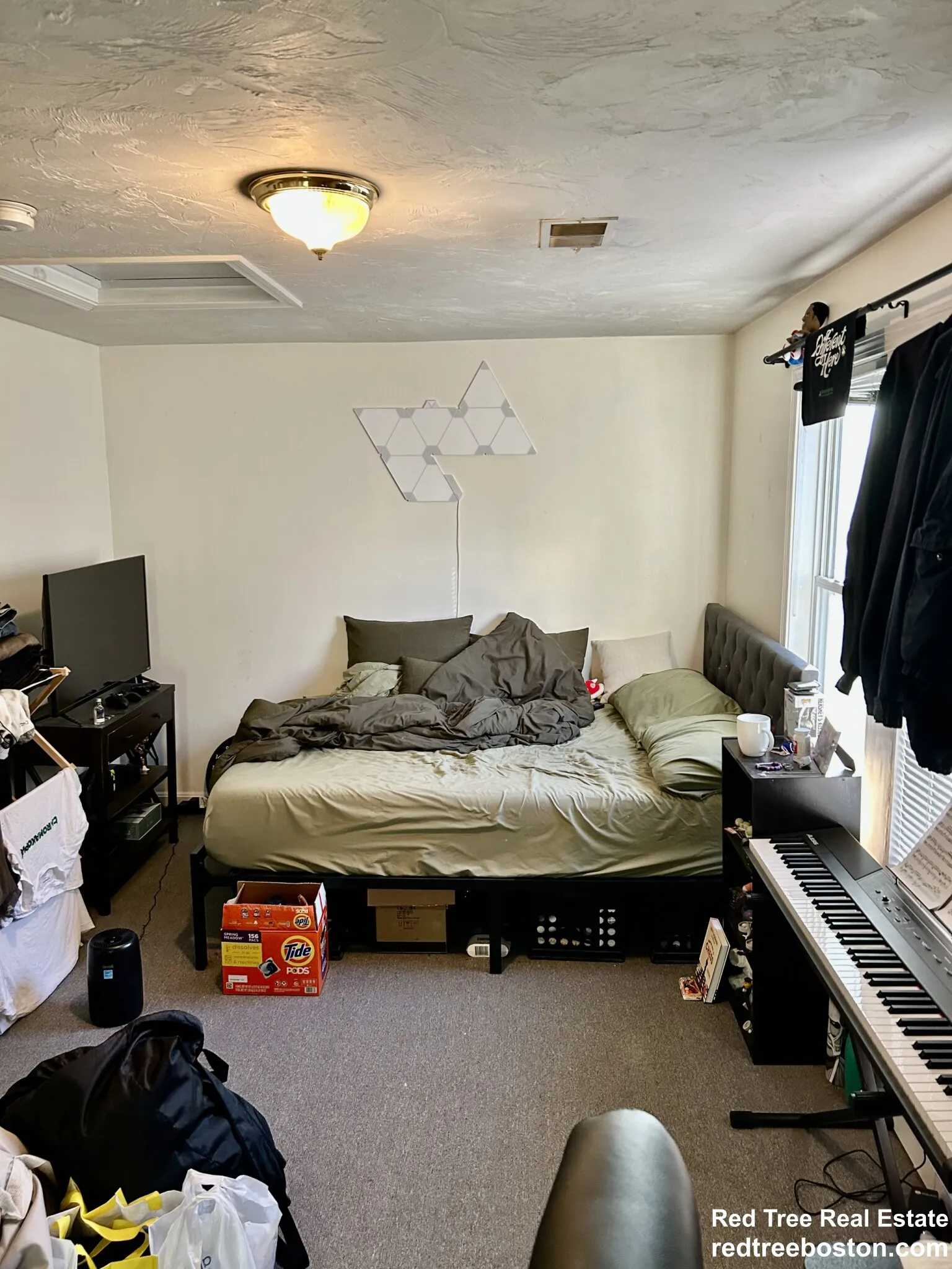 24 Lawn St, Mission Hill