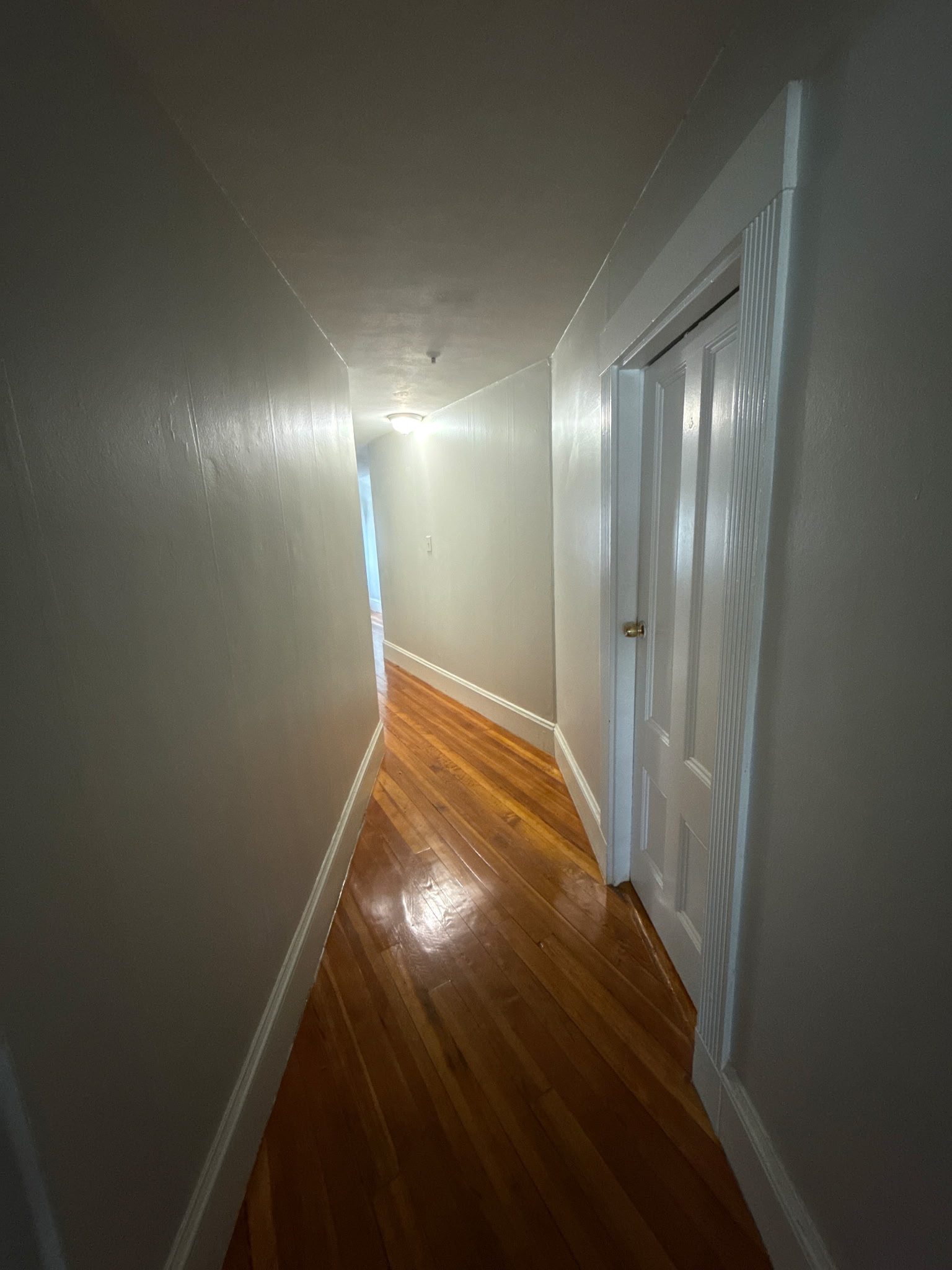 53 Elm St, Spring Hill