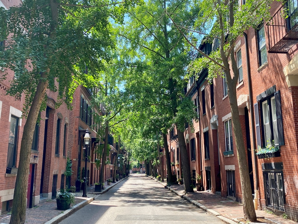 20 Gray St, South End