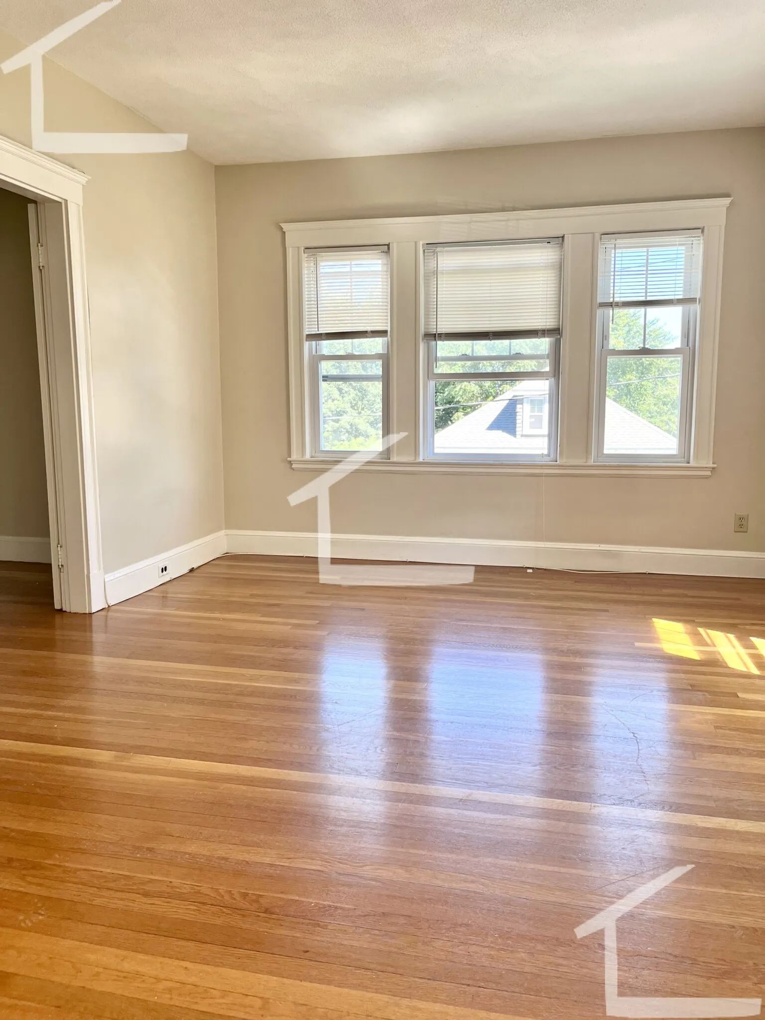 41 North Crescent Circuit, Brighton