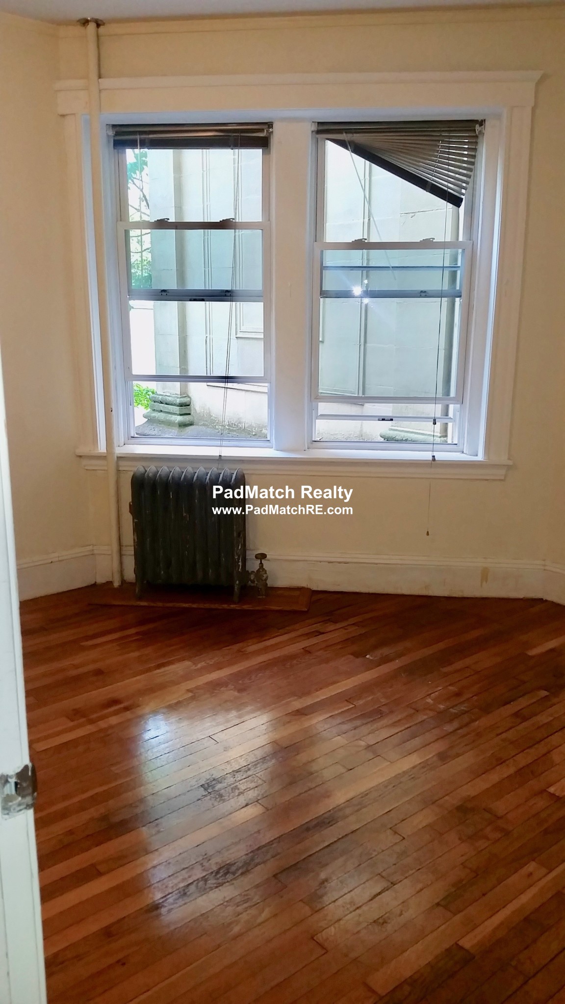 62 Egmont St, Longwood