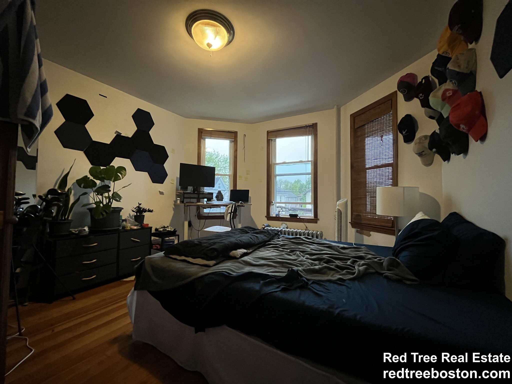 45 Litchfield St, Lower Allston