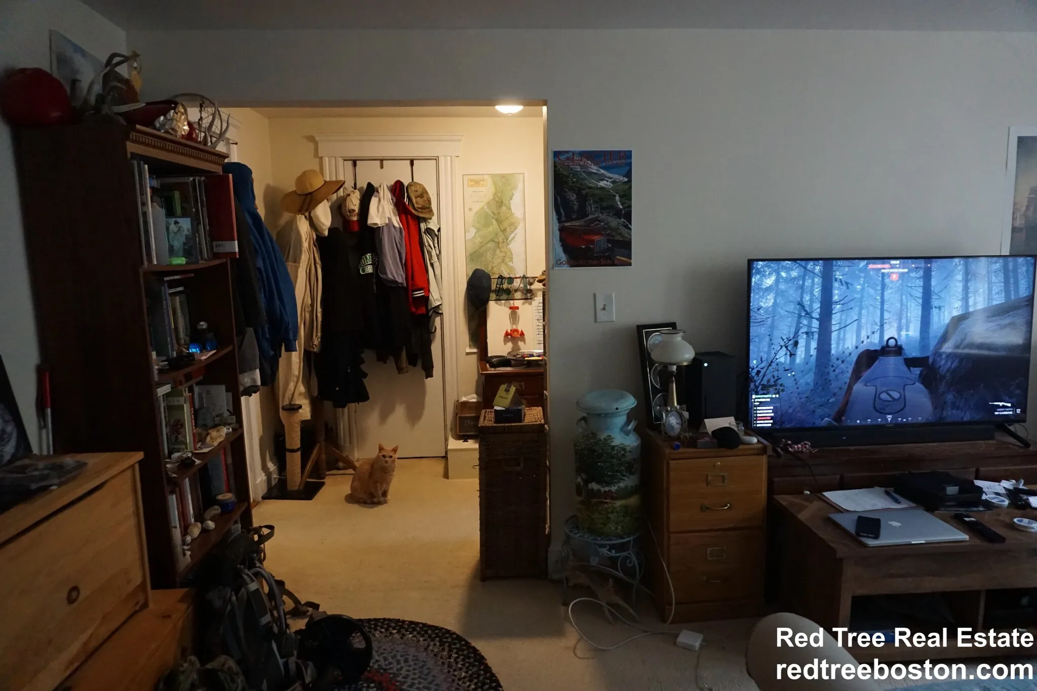 20 Colborne Rd, Brighton