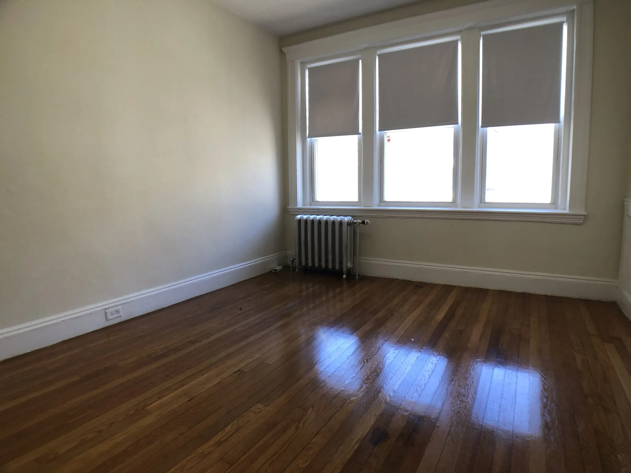 1171 Boylston St, Fenway