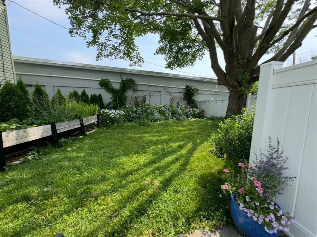 66 Calvary St, Waltham