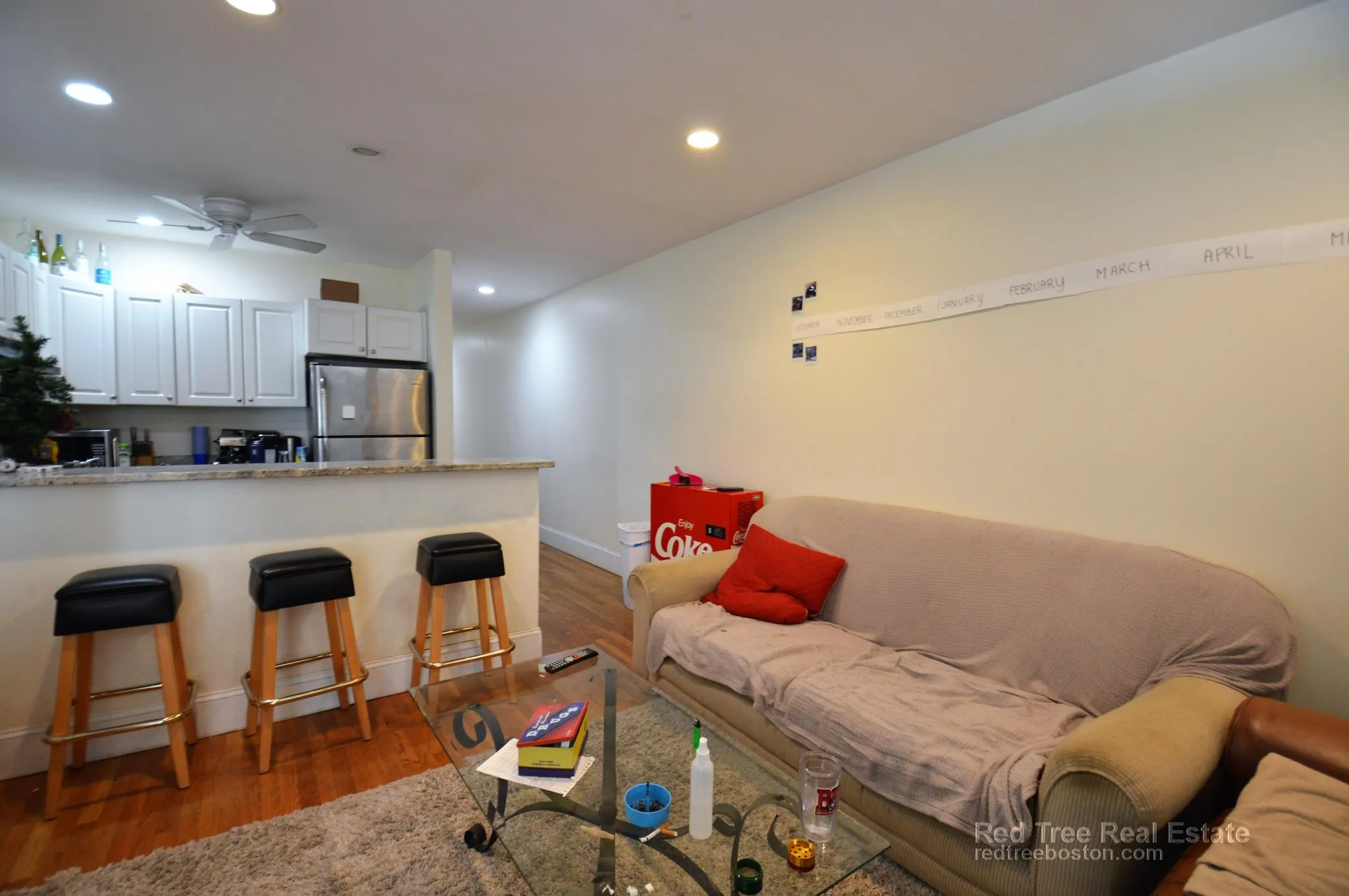 66 Egmont St, North Brookline