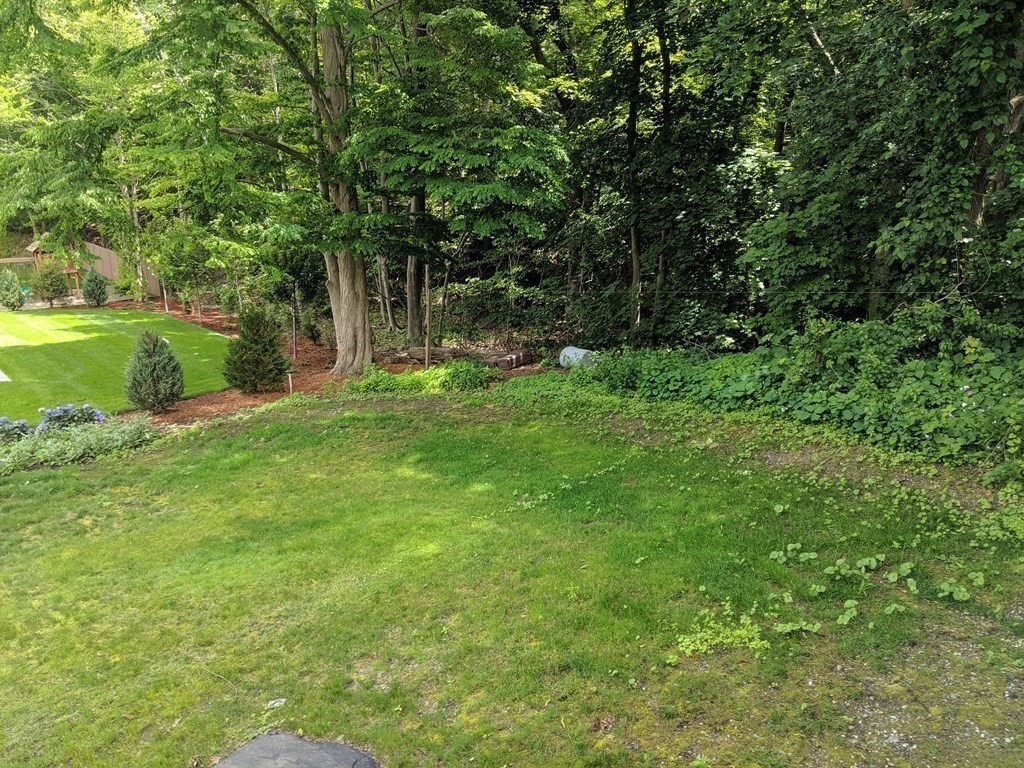 11 Renee Ter, Newton