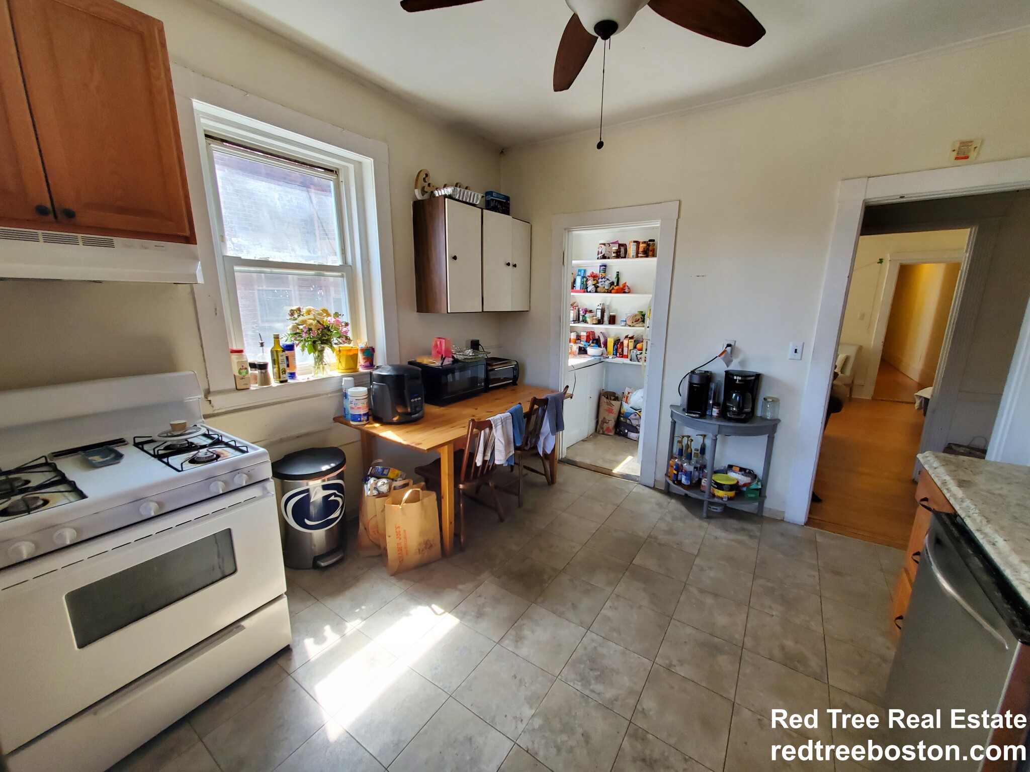 12 Royce Rd, Allston