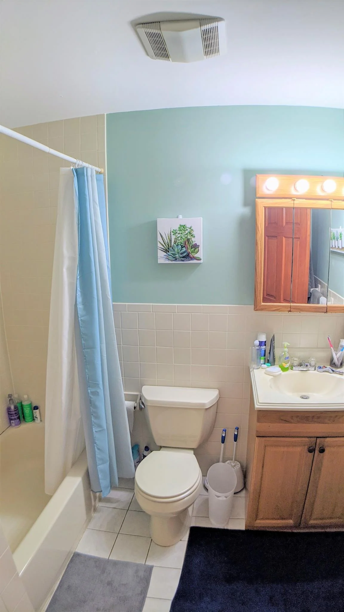 13 Bristol St, Wellington-Harrington