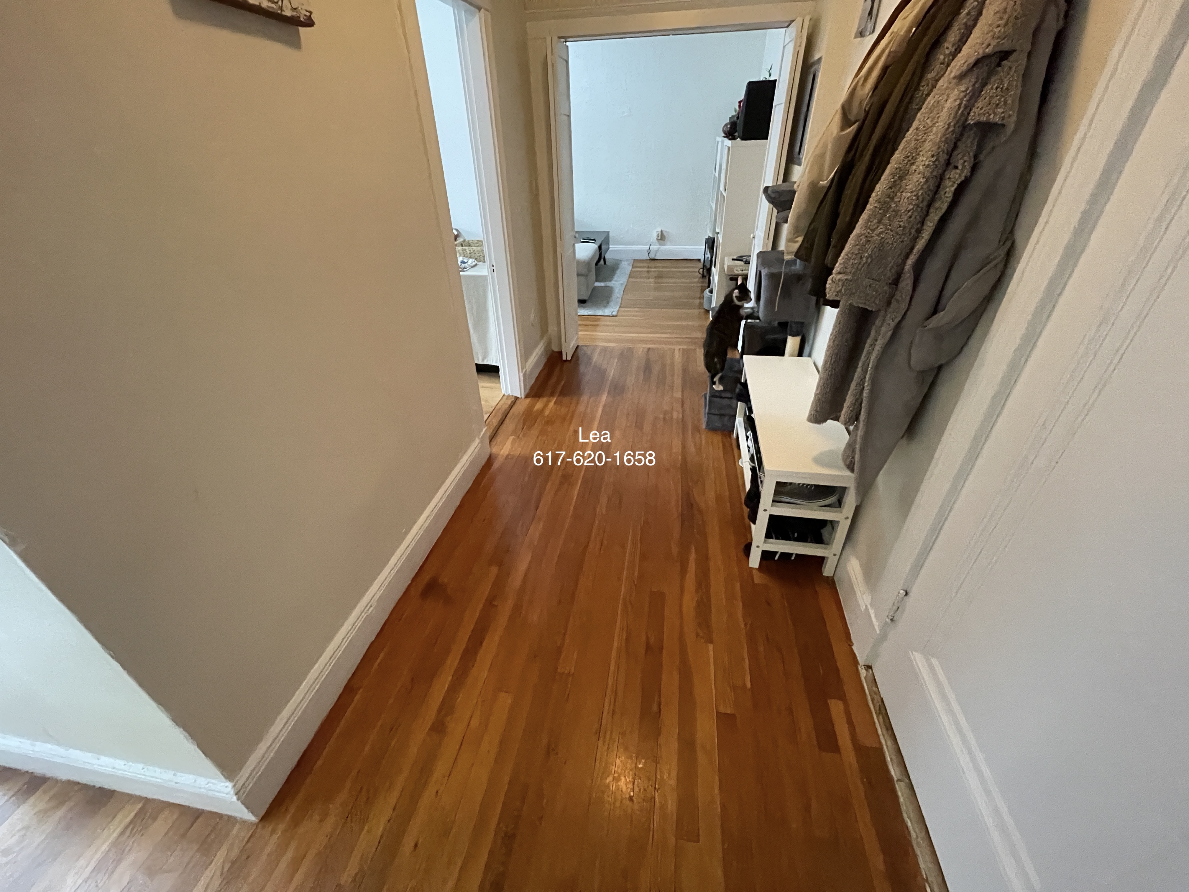 1800 Commonwealth Ave, Brighton