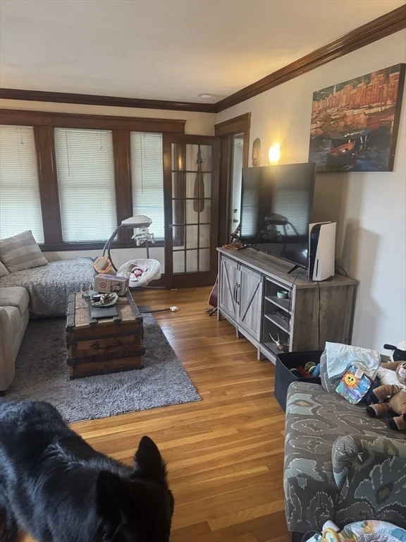 29 Brewster St, Medford