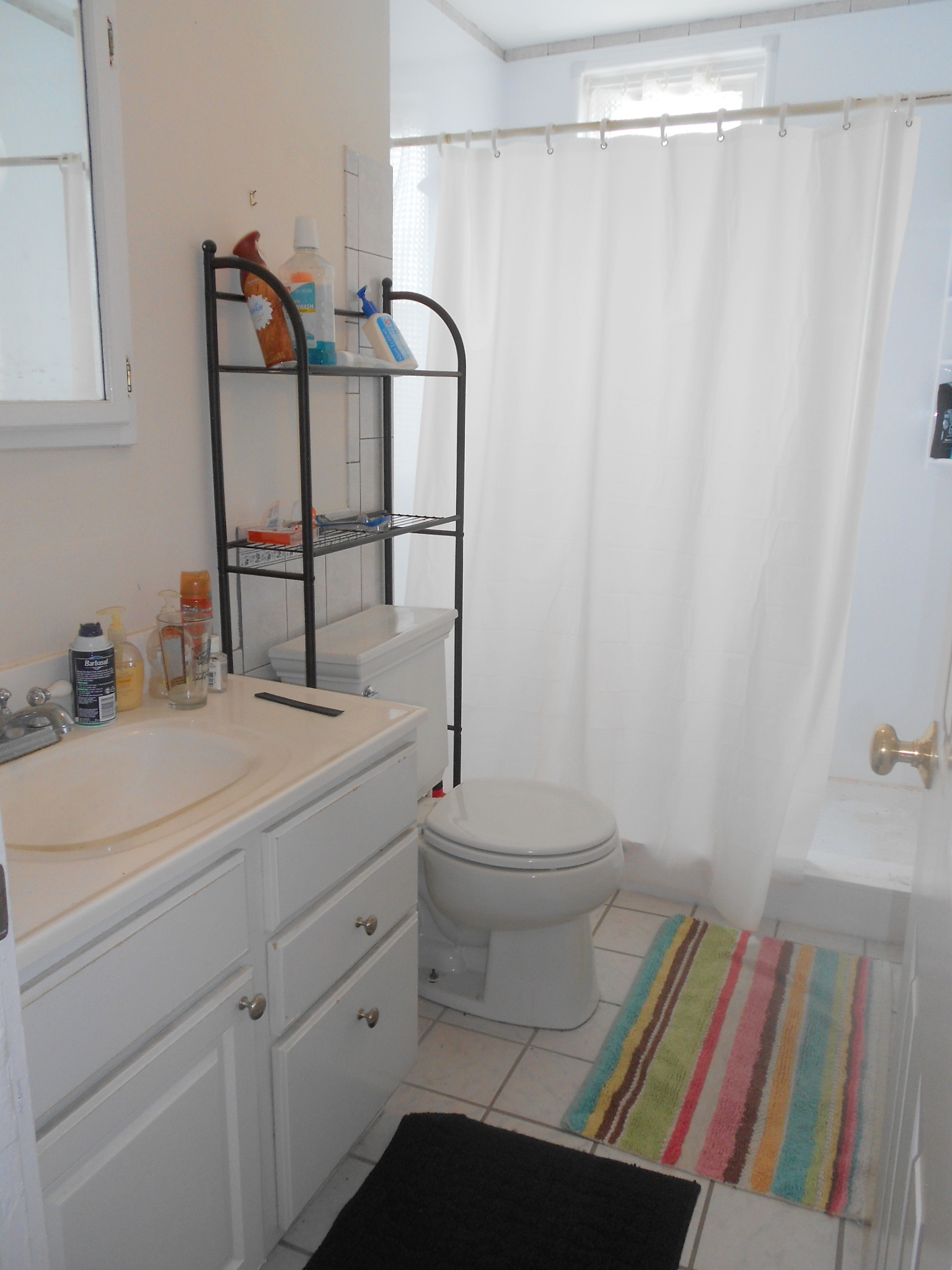 5 Newton St, Cambridgeport