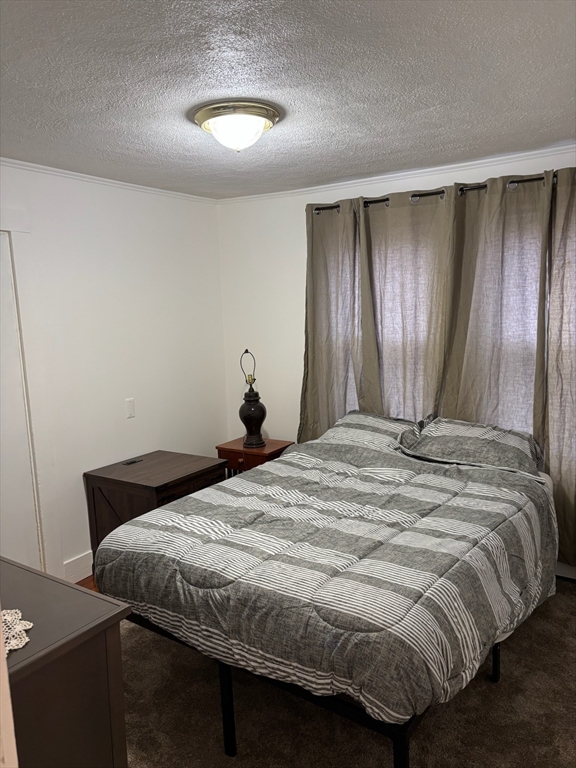 29 Gibson St, Malden