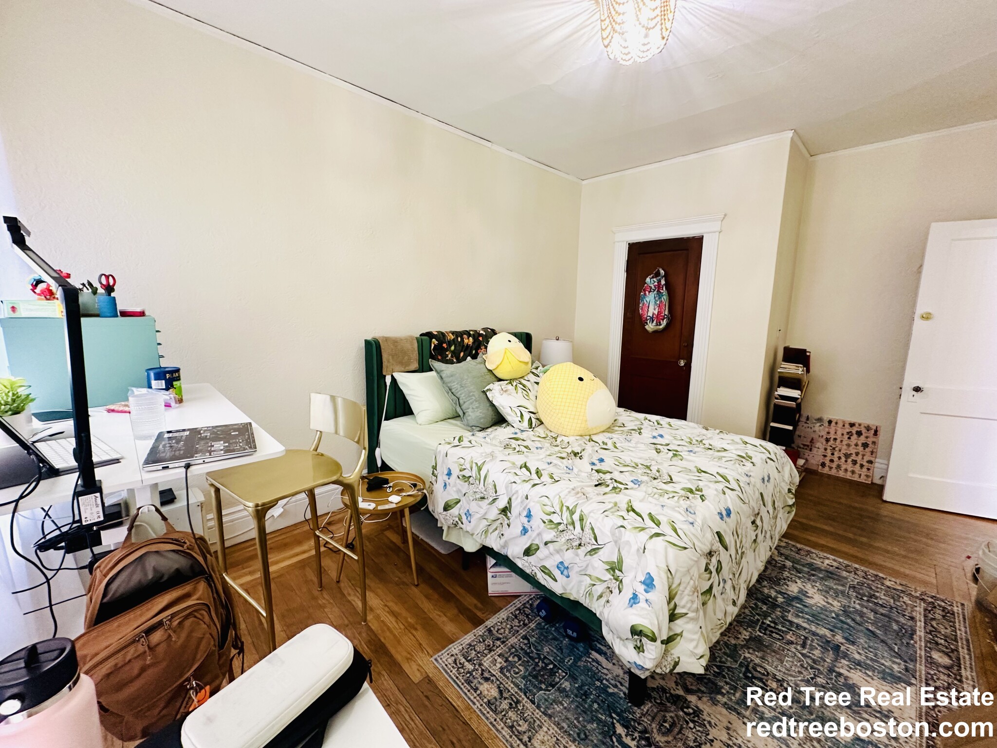 11 Euston St, Brookline