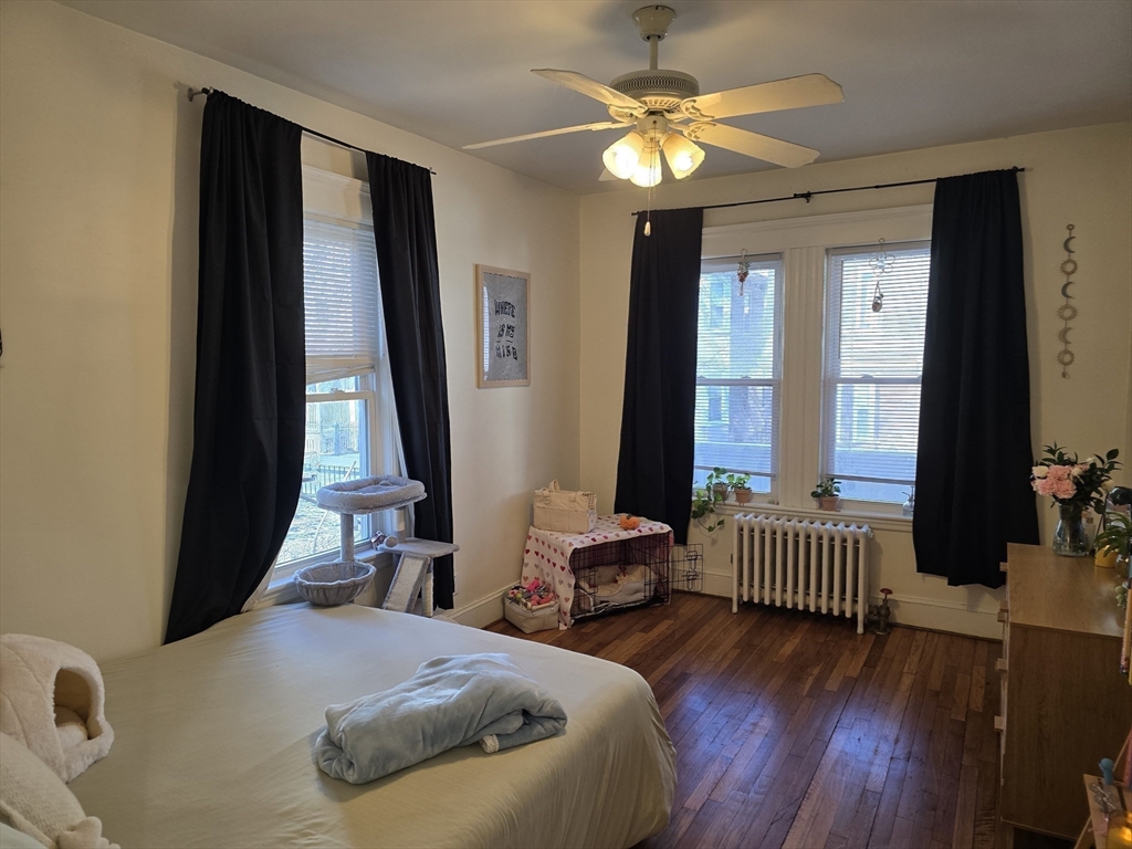 38 Hillside St, Mission Hill