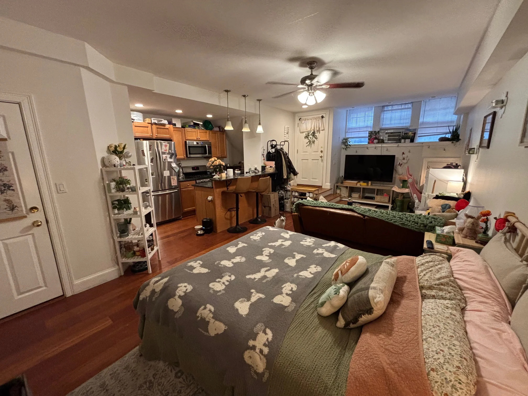 7 Grove St, Beacon Hill