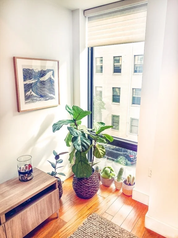 257 Northampton, South End