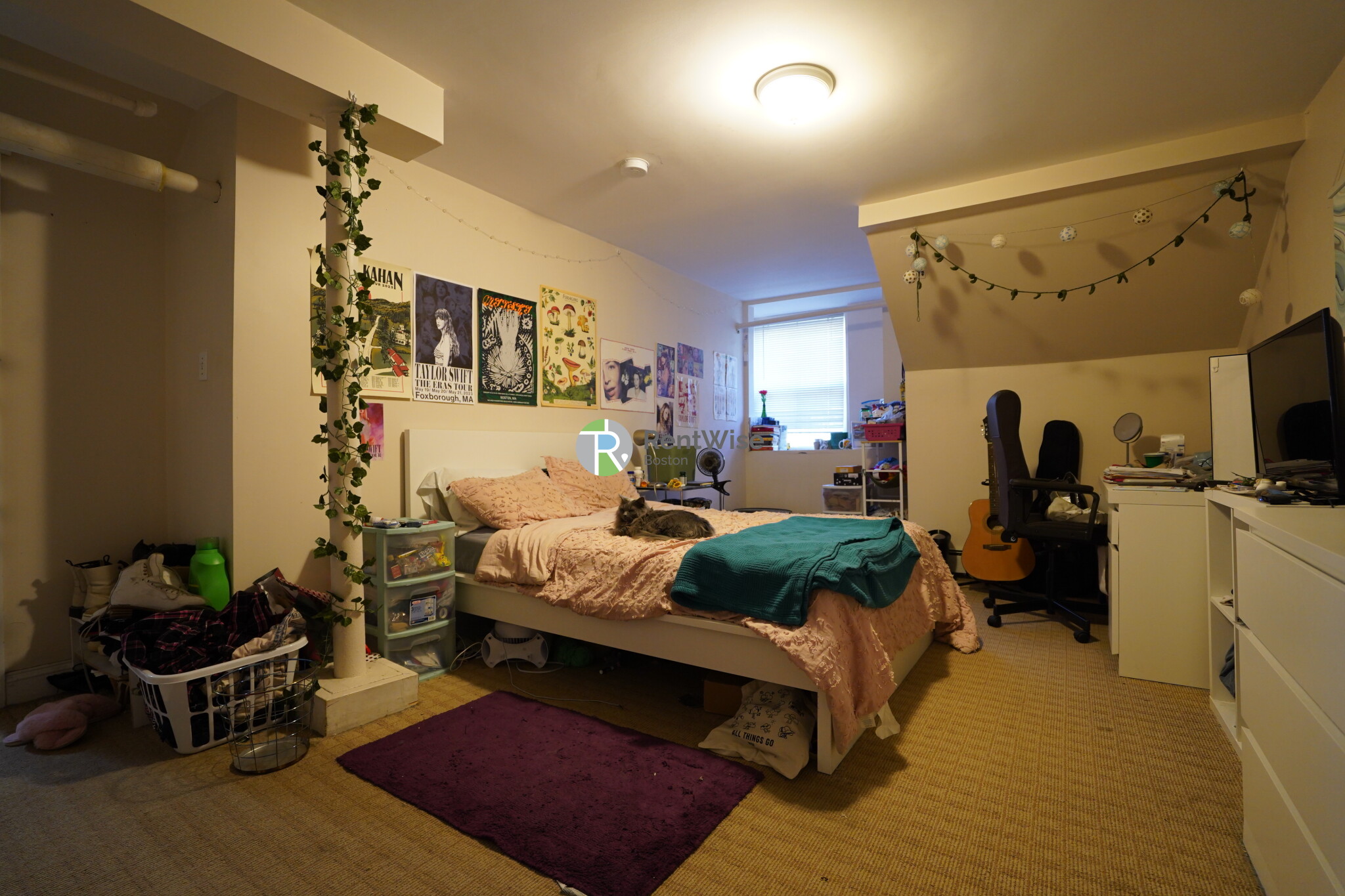 19 Saint Lukes Rd, Brighton